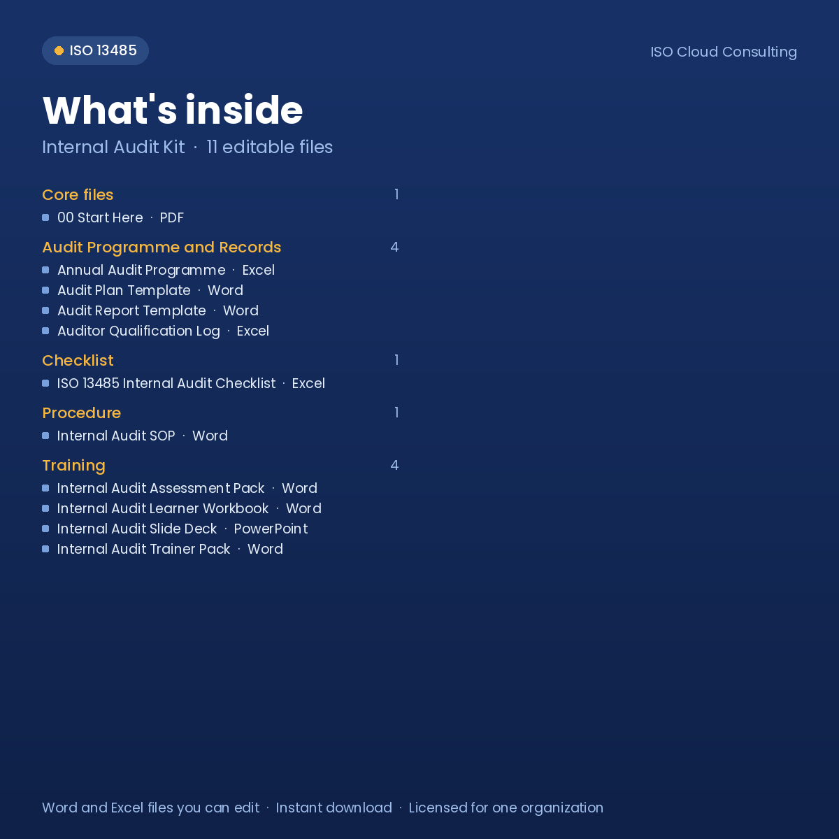 What's inside the Internal Audit Kit: list of the 11 editable files